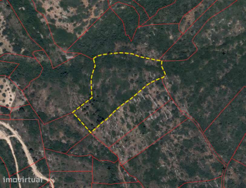 Terreno rústico com 1 hectare em Masoes, Alcaria - Grande imagem: 3/6