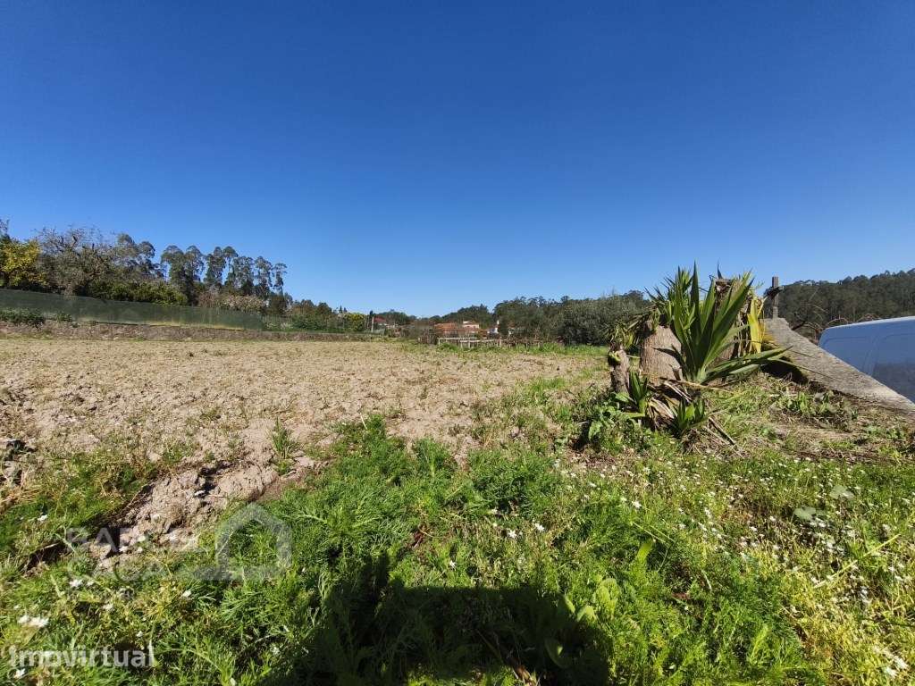 Terreno de construção em Couto - Barcelos - Grande imagem: 3/7