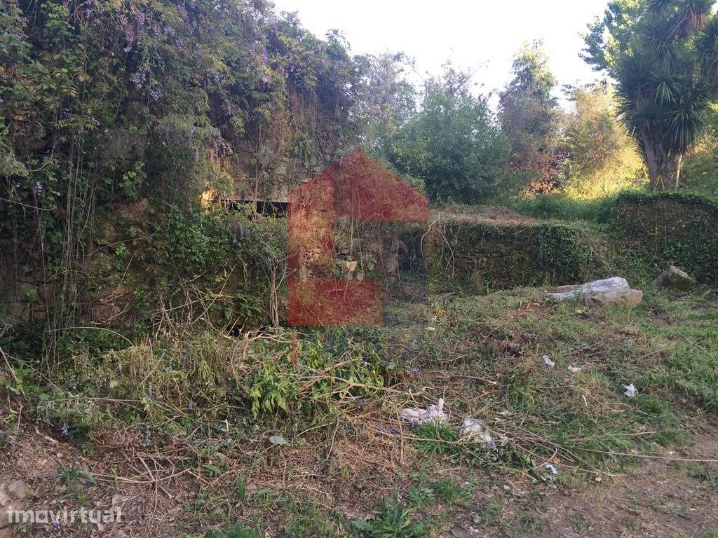 Vende-se Ruina, Carreiras S. Miguel - Grande imagem: 2/12