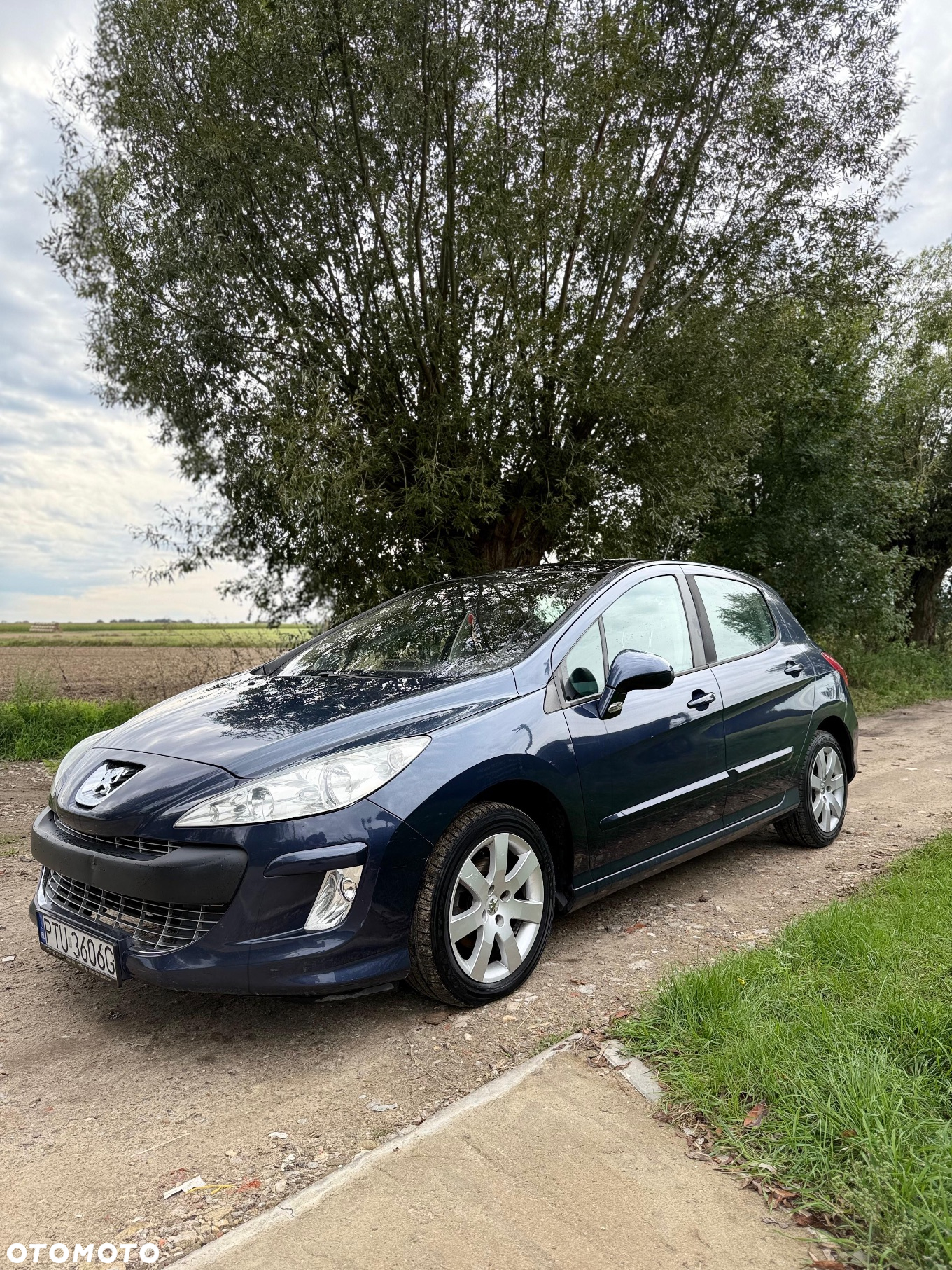 Peugeot 308 1.6 Premium Plus - 11