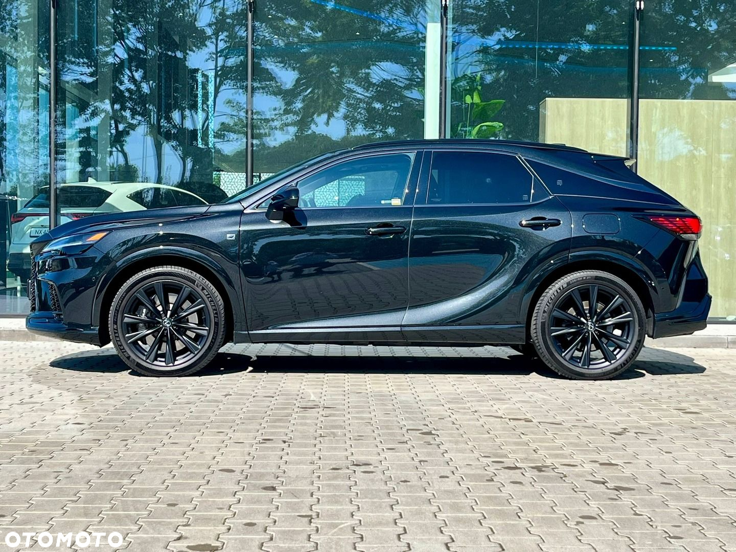 Lexus RX - 3