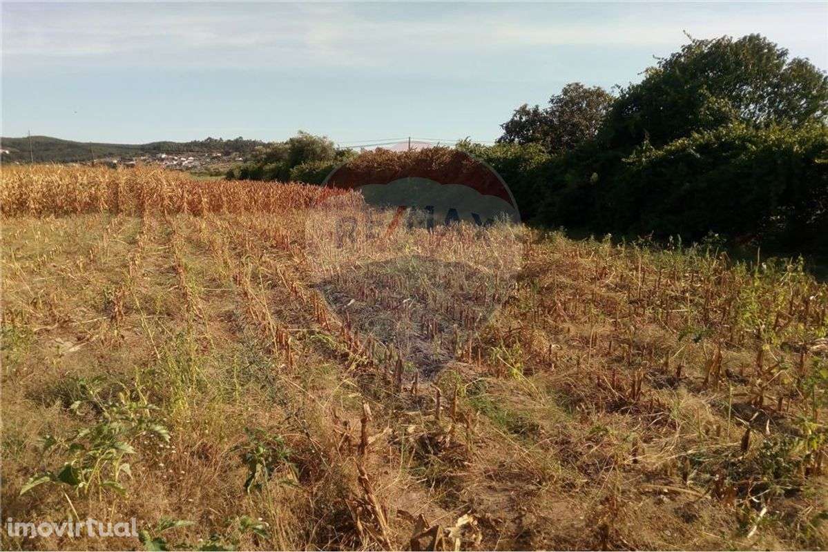 Terreno T0 para venda - Grande imagem: 2/4