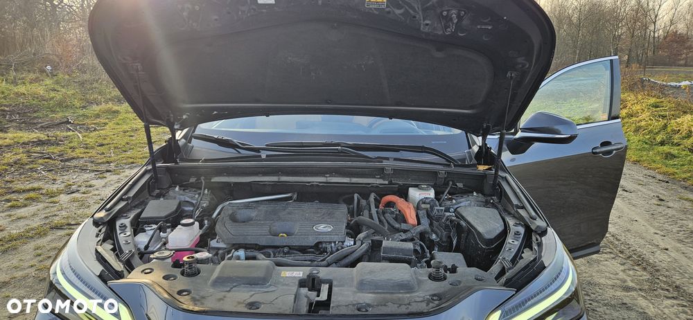 Lexus NX 350h Prestige AWD - 13