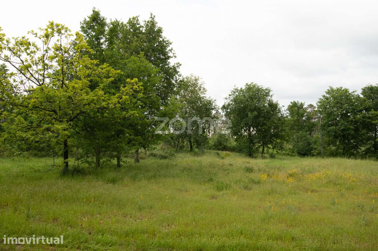 Terreno com 7.293 m² Indústria e Comércio – EN17 – Santiago Seia... - Grande imagem: 2/15