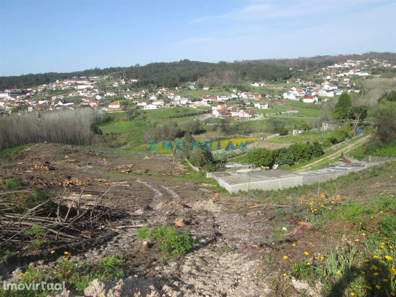 ANG786 - Terreno com 1110m2 para Venda em Colmeias, Leiria - Grande imagem: 5/7