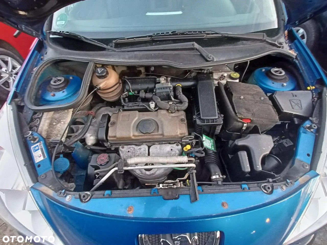 Peugeot 206 plus - 26