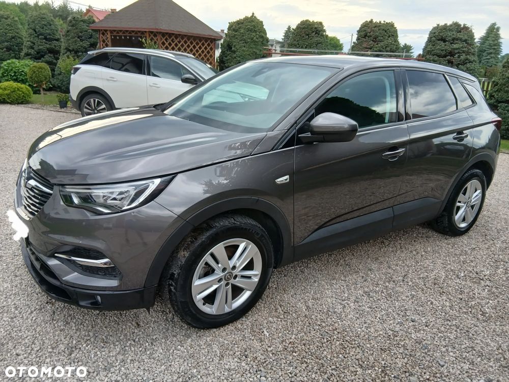 Opel Grandland X - 1