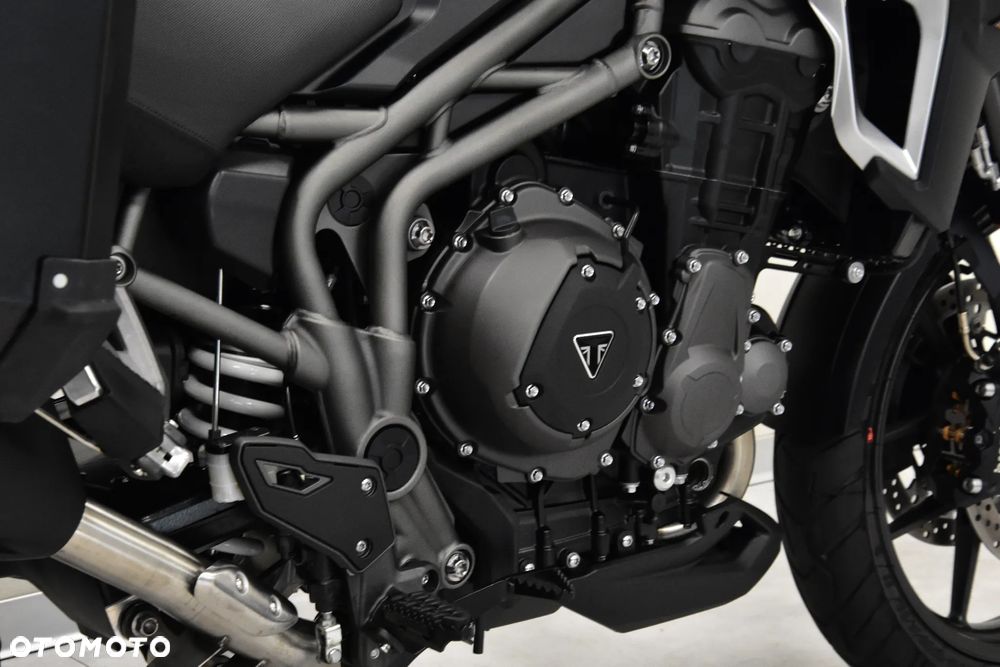 Triumph Tiger - 22