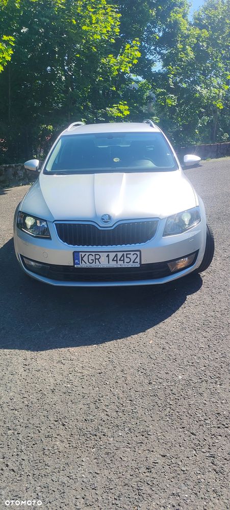 Skoda Octavia 1.6 TDI 4x4 Ambition - 10