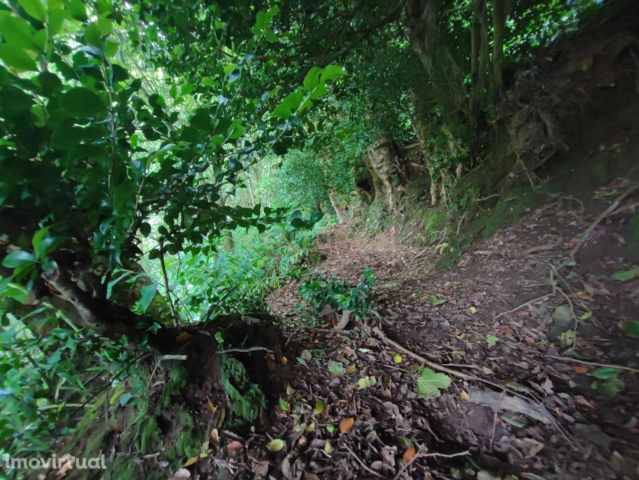 Terreno Rústico - Grande imagem: 5/12