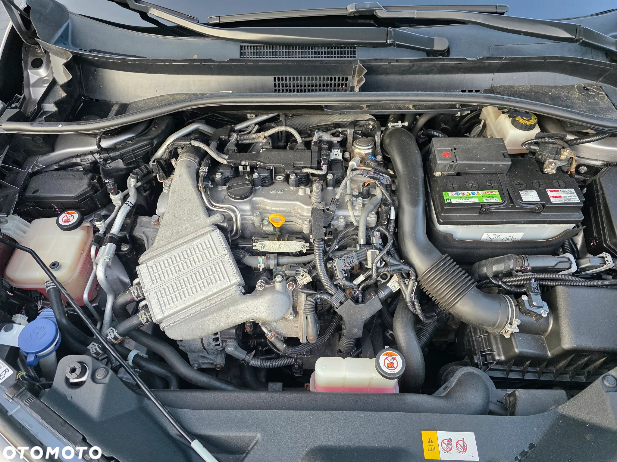 Toyota C-HR 1.2 Turbo Team Deutschland - 11