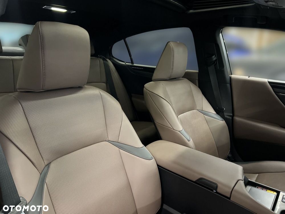 Lexus ES 300h F Sport Design - 17