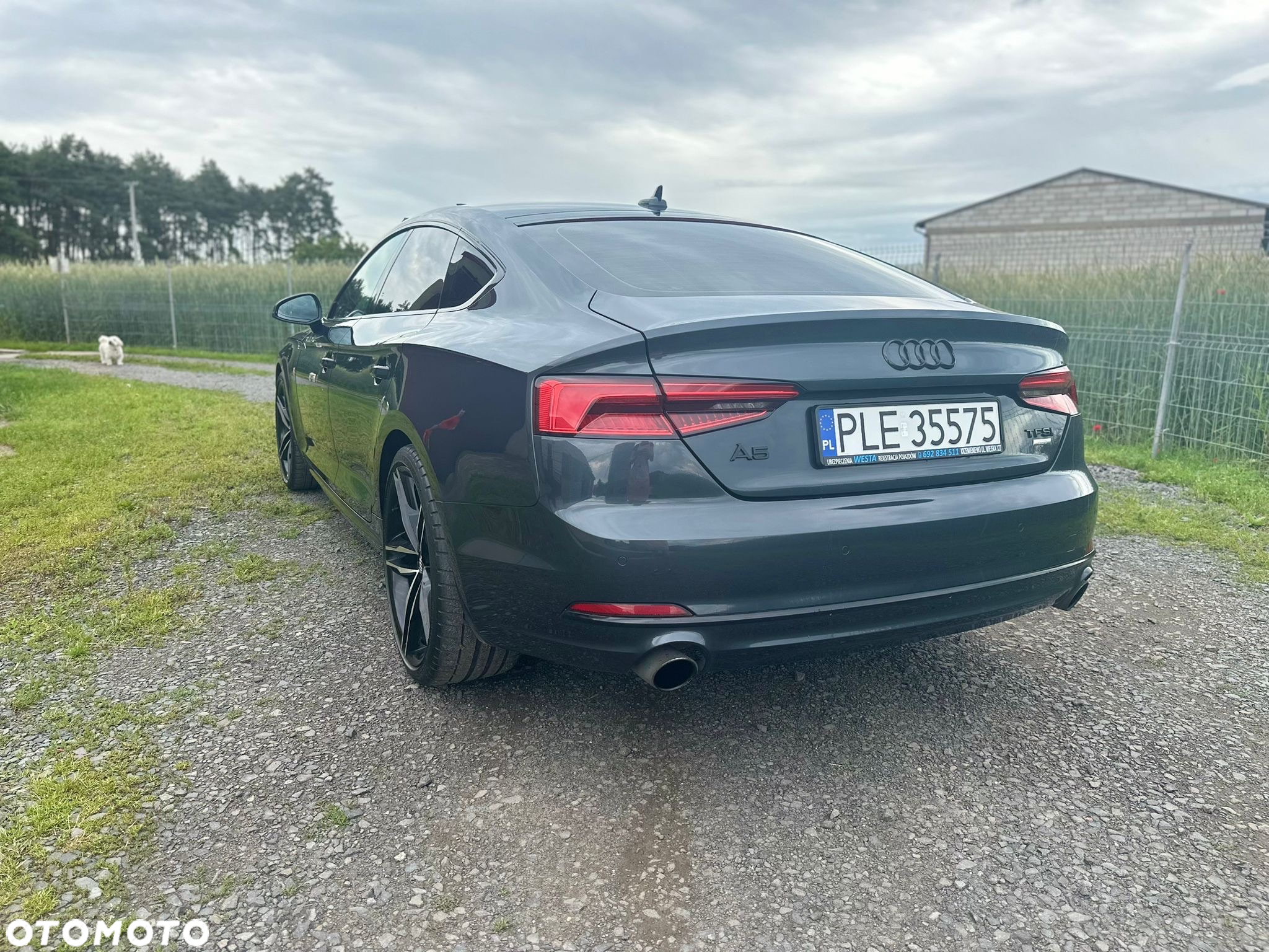 Audi A5 Sportback 2.0 TFSI S tronic - 4