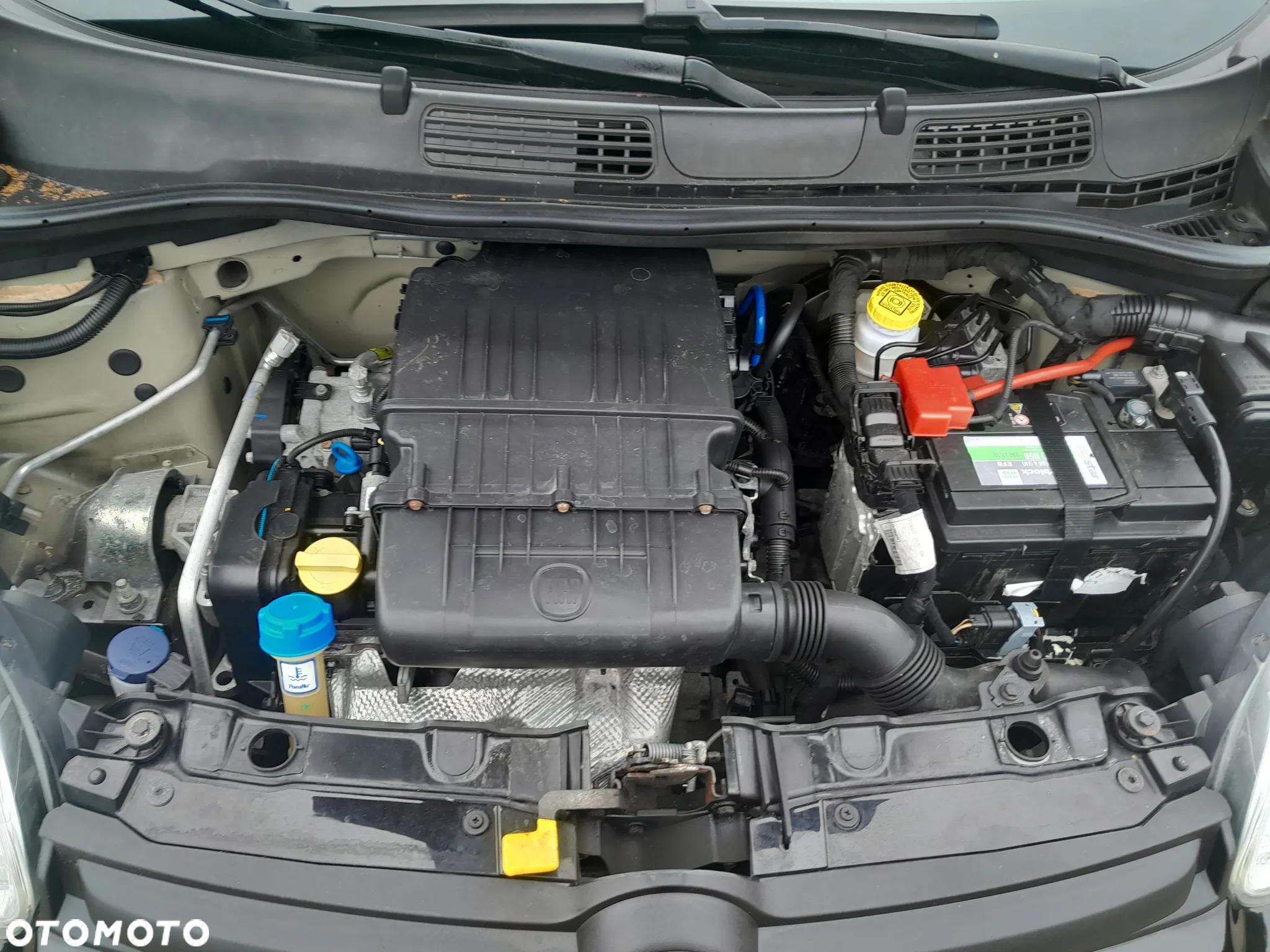Fiat Panda 1.2 Fresh - 14
