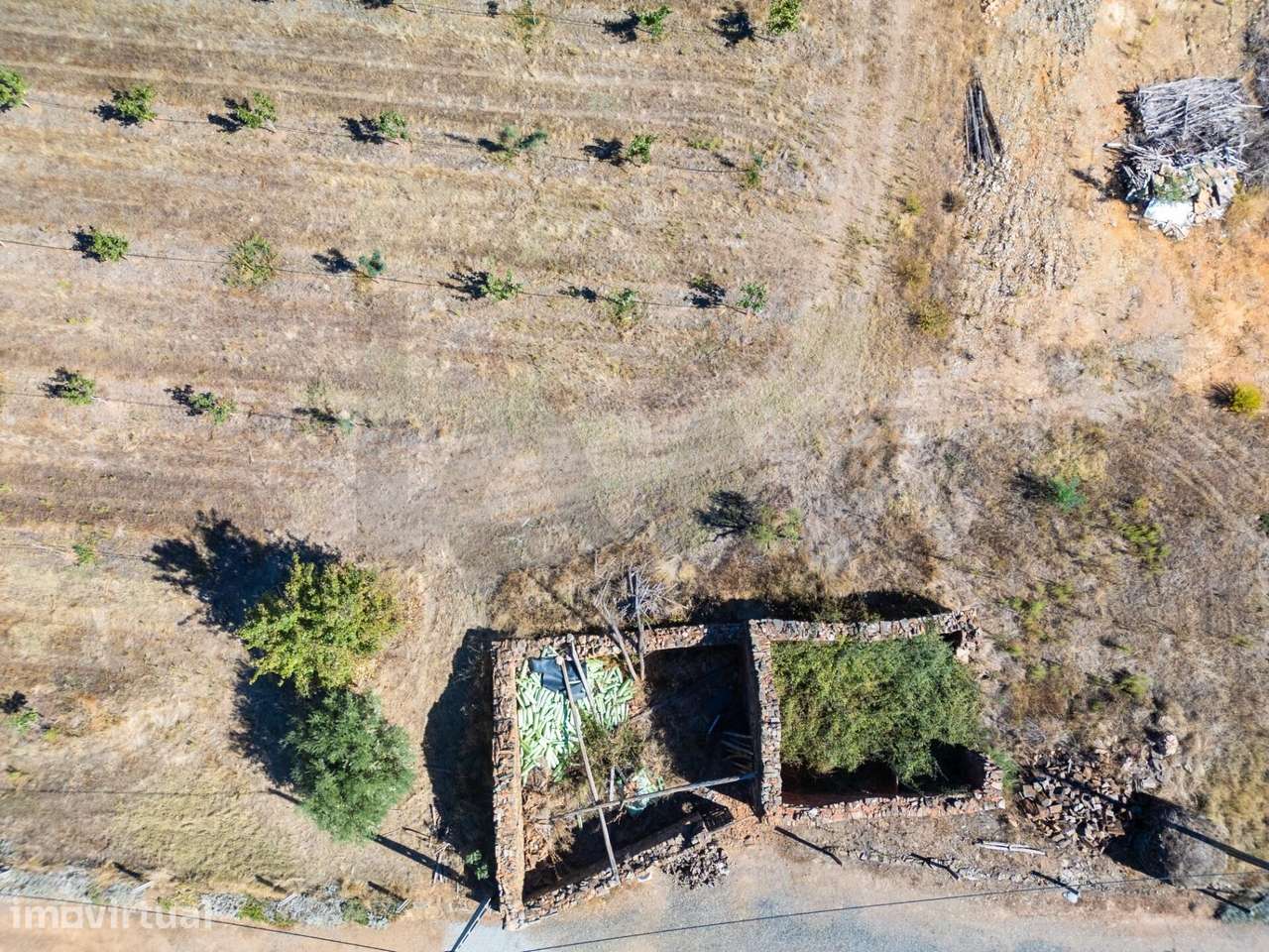 QUINTA COM 12 HECTARES DE ARVORES DE PISTACHO - Grande imagem: 5/15