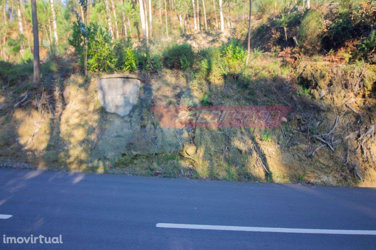 Terreno Florestal em Parada de Gatim, Vila Verde! - Grande imagem: 5/5