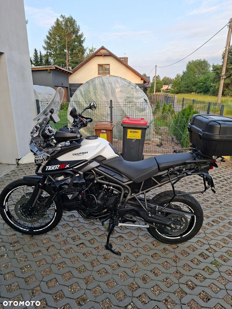 Triumph Tiger - 10