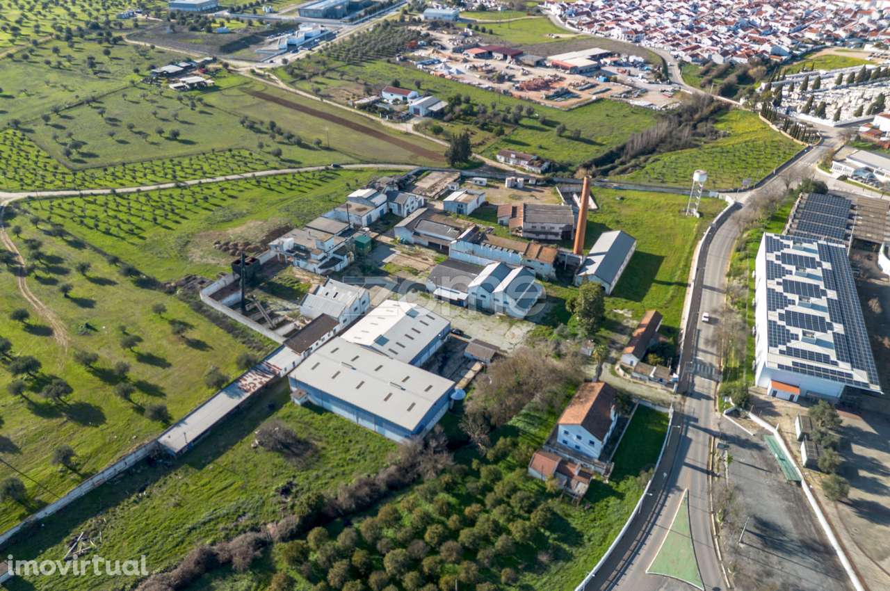 Armazens de atividade Industrial - Lagar de Azeite - Moura - Grande imagem: 5/59