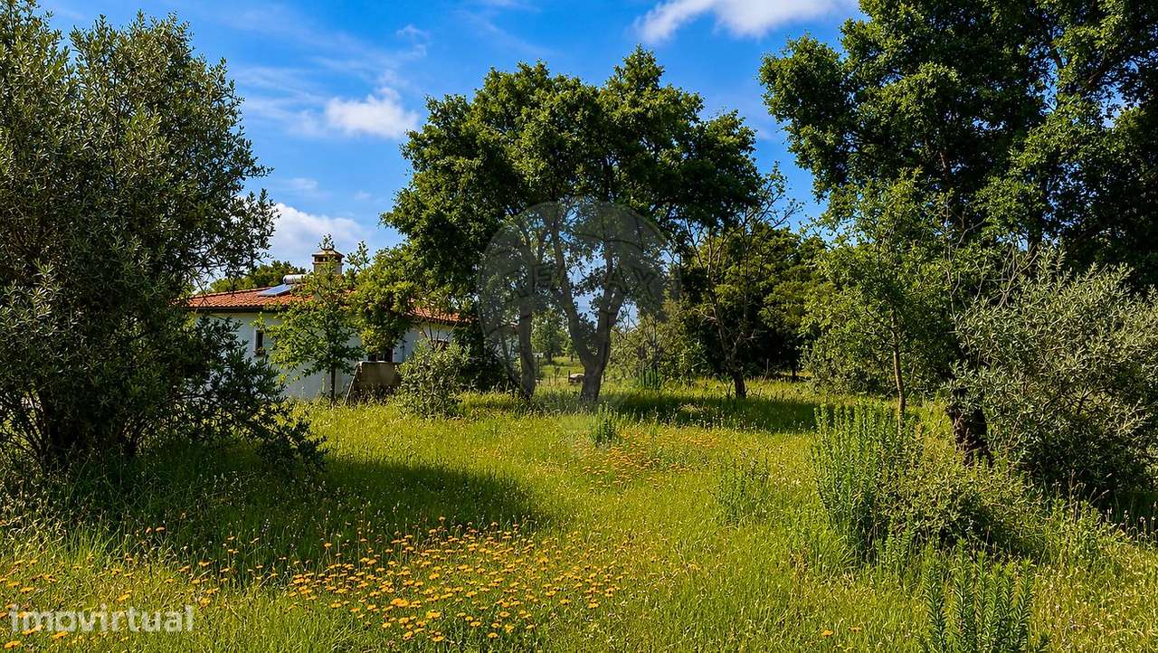 Terreno  para venda - Grande imagem: 5/21