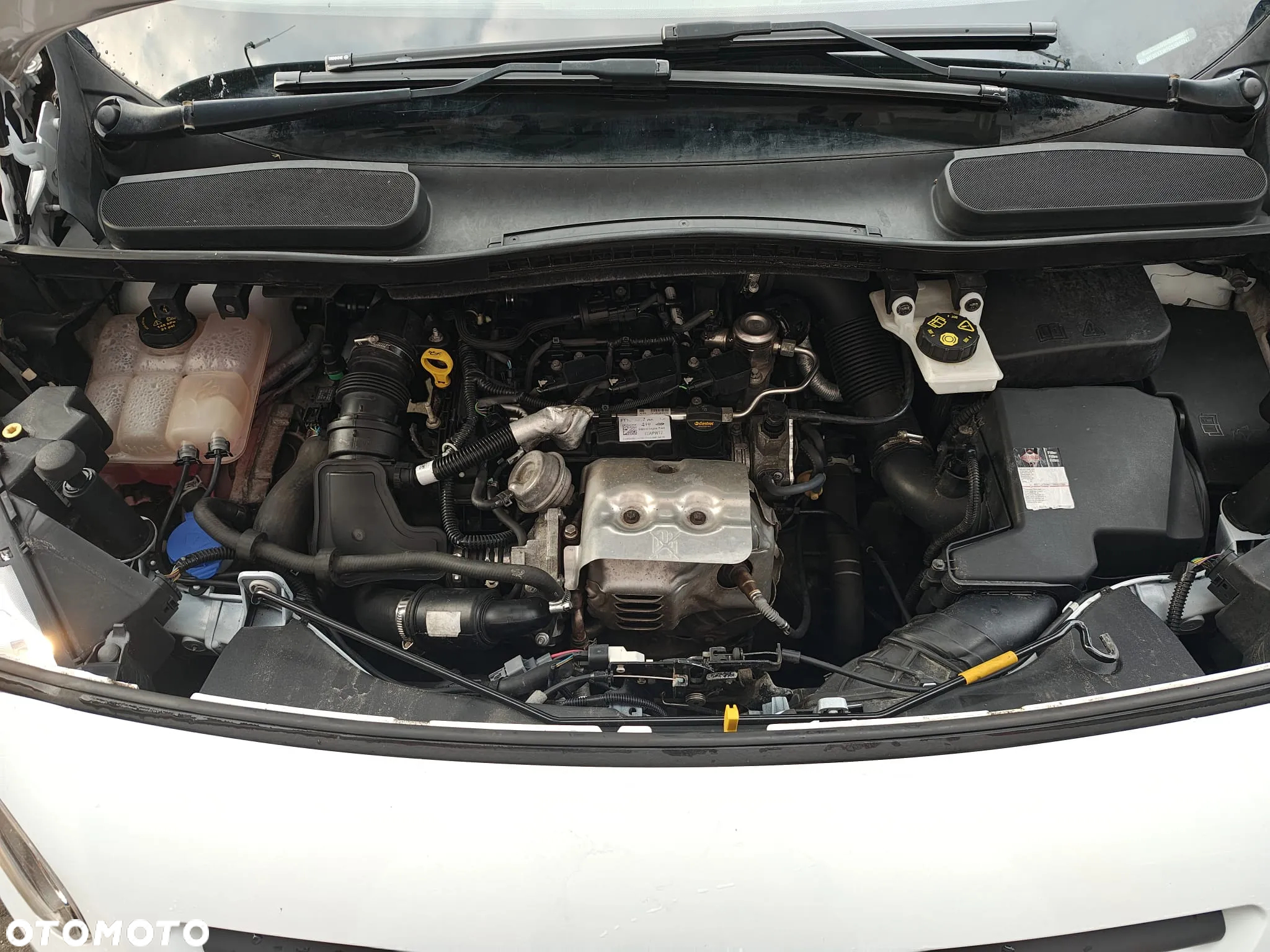 Ford TRANSIT CONNECT - 7