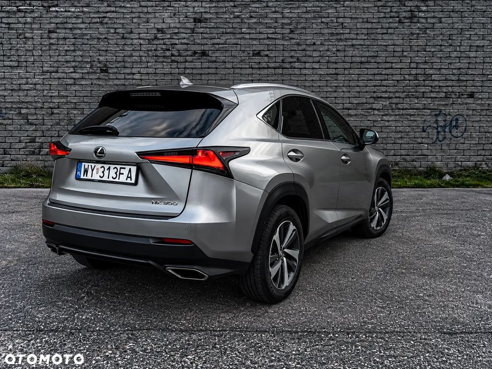 Lexus NX - 10
