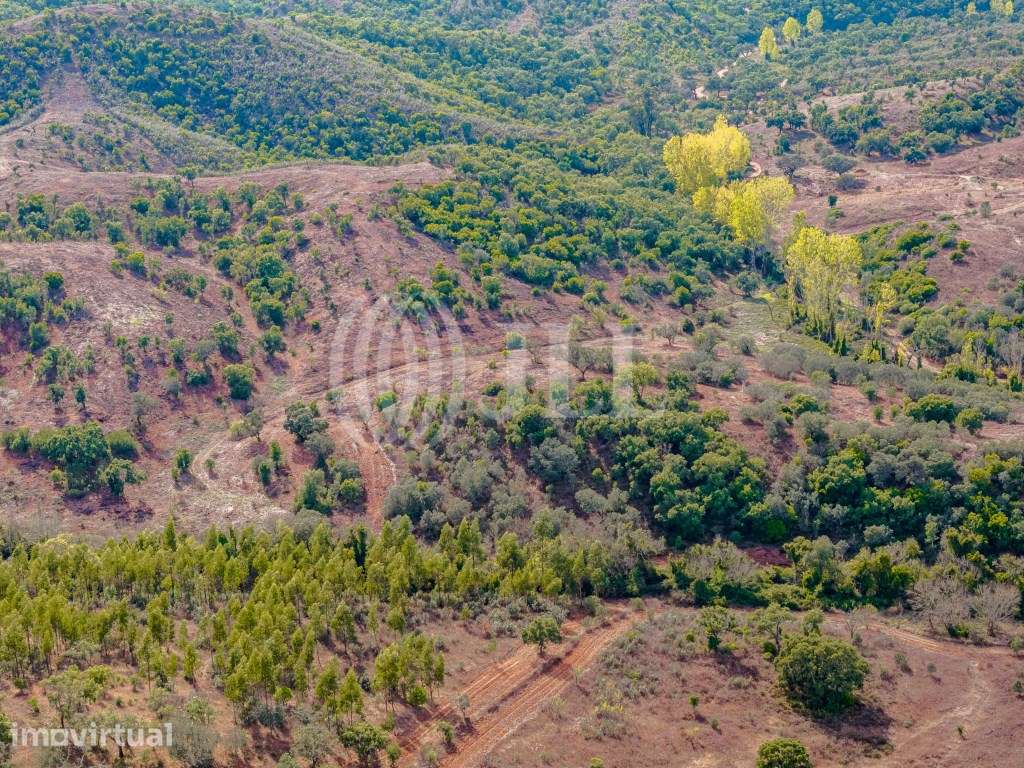 Terreno em Santa Margarida da Serra - Grande imagem: 2/8