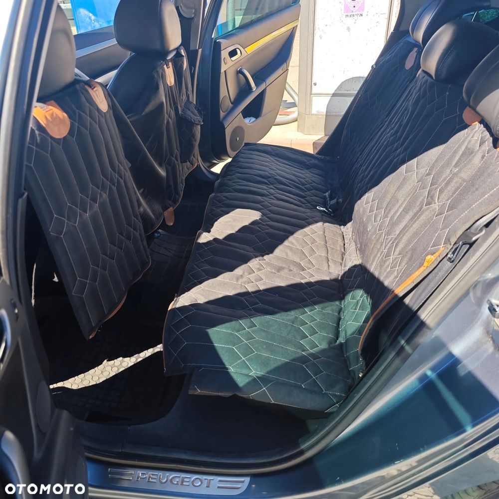 Peugeot 407 2.0 HDI Platinum - 19