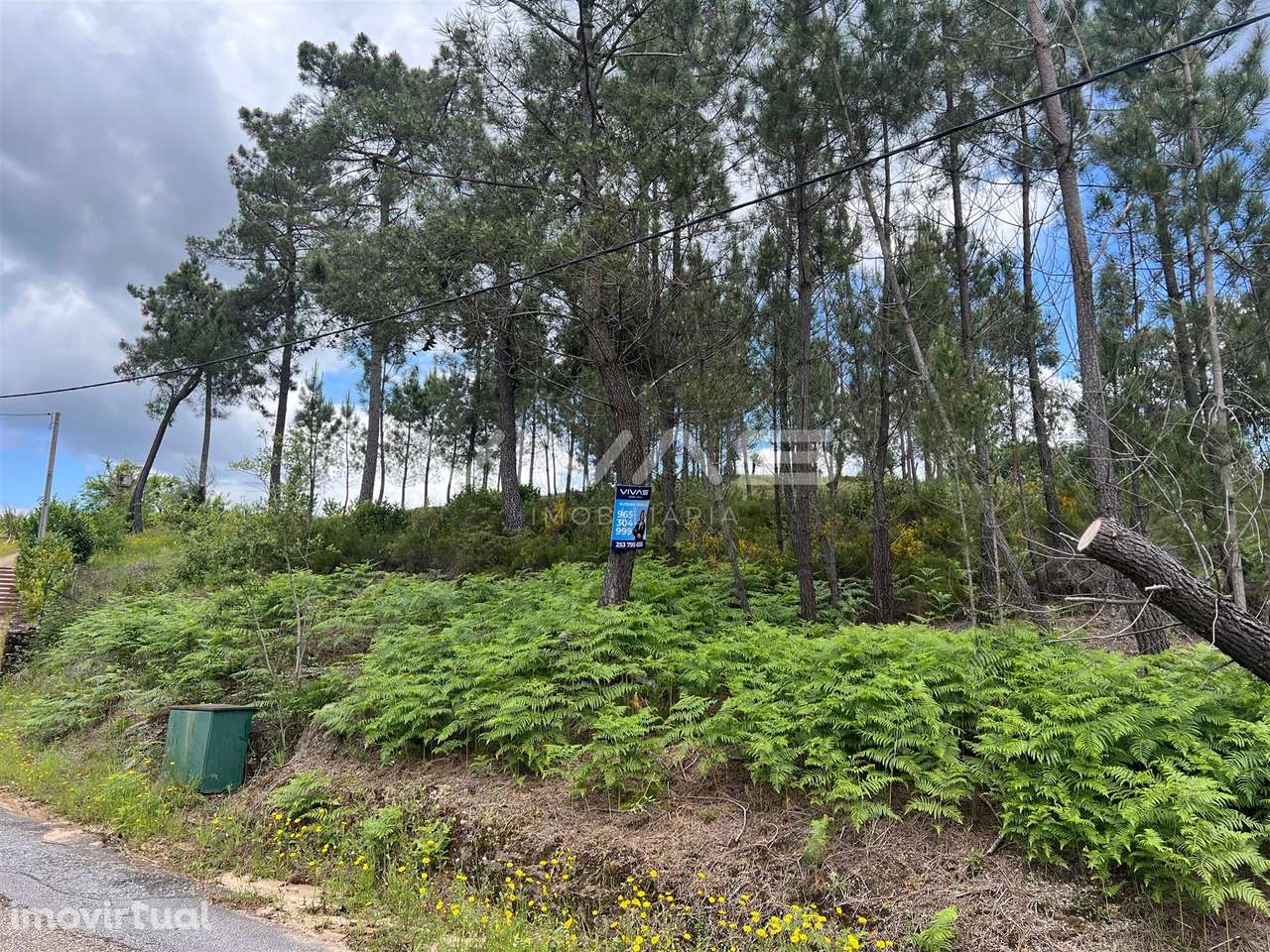Terreno Para Construção  Venda em Arnóia,Celorico de Basto - Grande imagem: 2/6