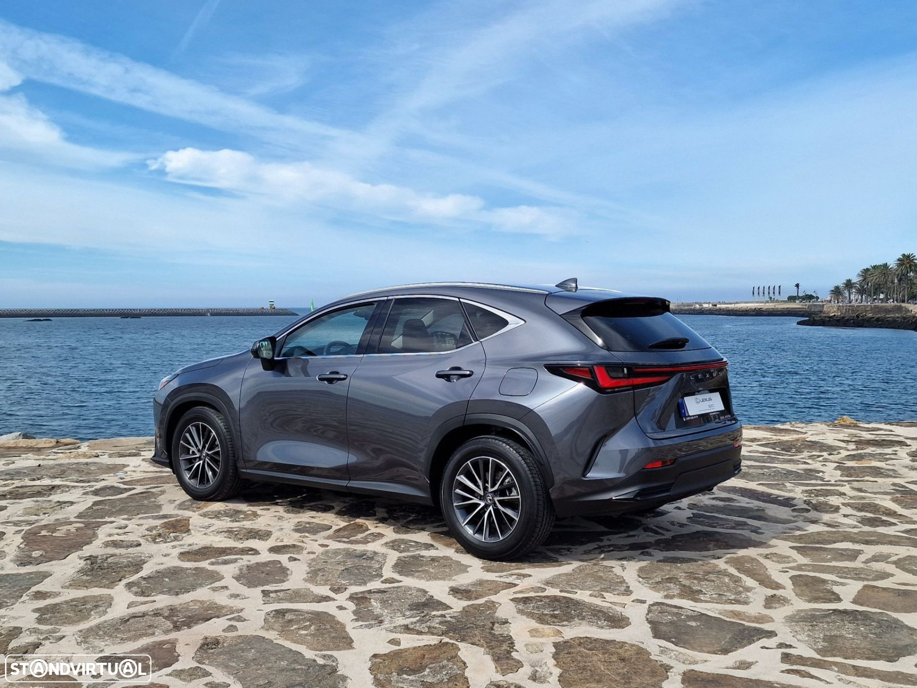 Lexus nx-450hplus - 6