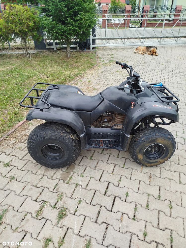 Yamaha Grizzly - 10