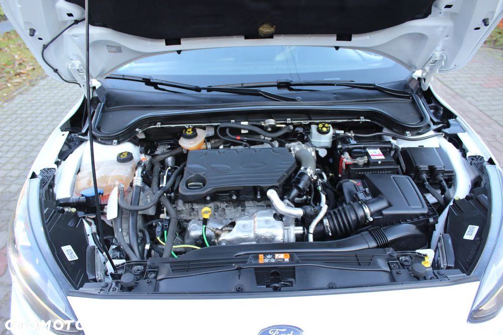 Ford Focus 1.5 EcoBlue Start-Stopp-System ST-LINE VIGNALE - 37