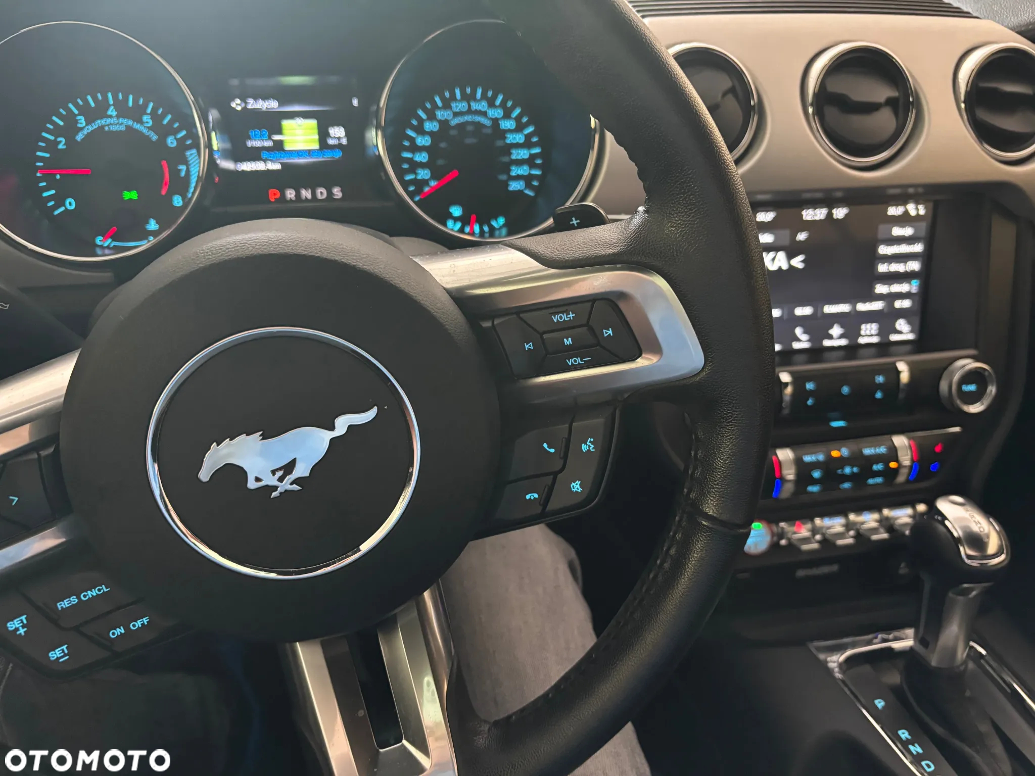 Ford Mustang 5.0 V8 GT - 8