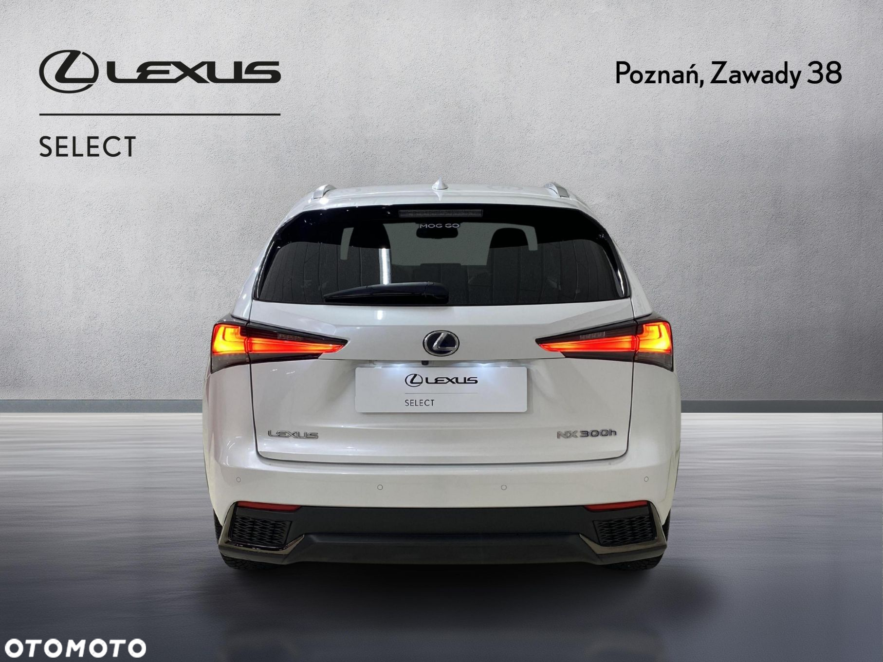 Lexus NX 300h F Sport Edition AWD - 9