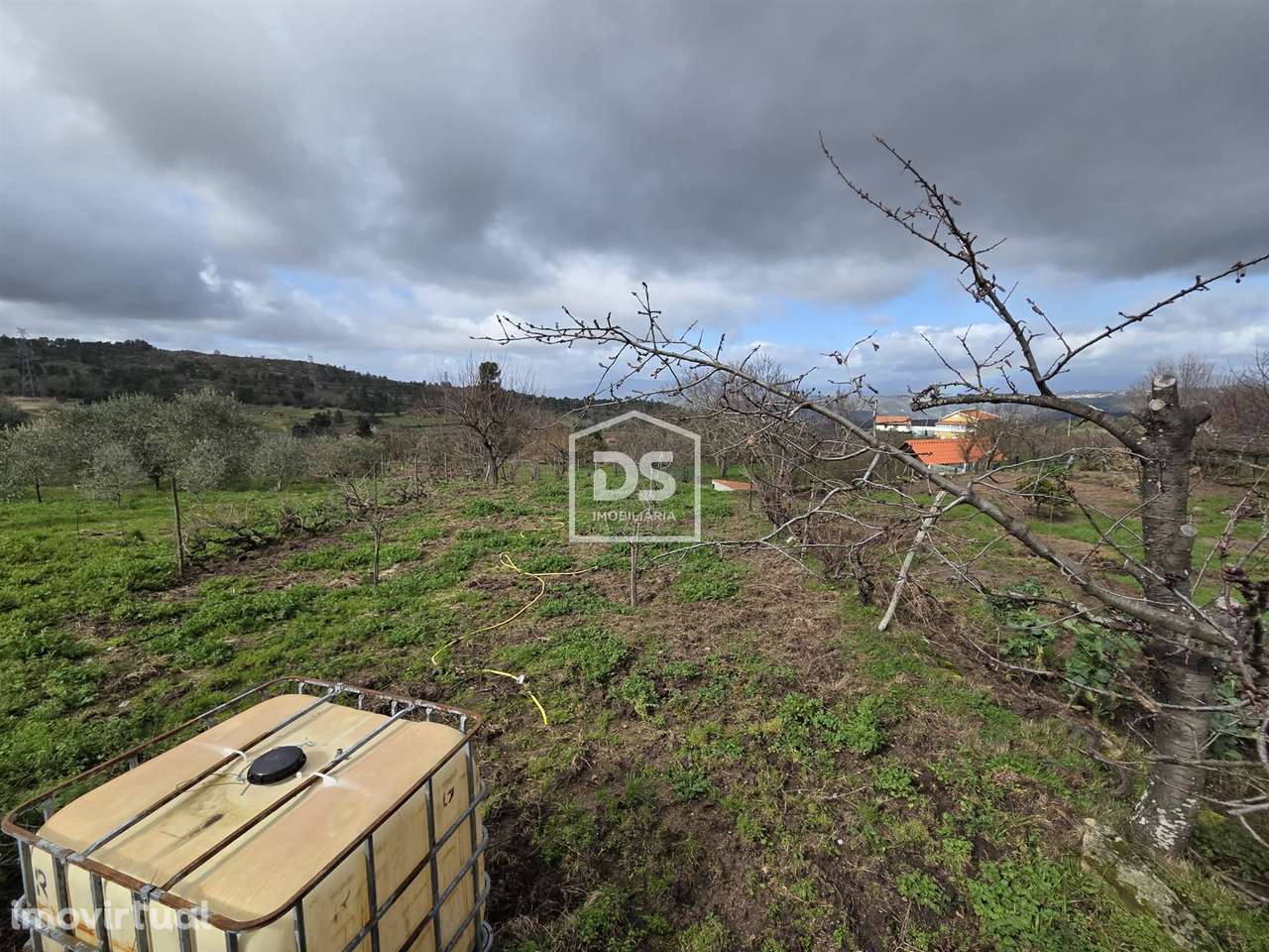 Terreno  Venda em Armamar,Armamar - Grande imagem: 2/7