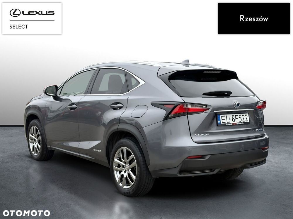 Lexus Nx 2017 photo 3