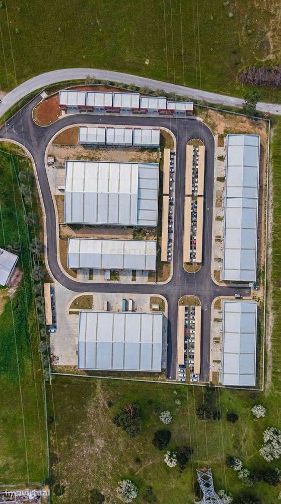 Terreno com Enquadramento Industrial no PDM - 9.700 m² Área Industrial - Grande imagem: 4/9