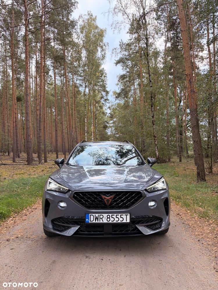 Cupra Formentor - 22
