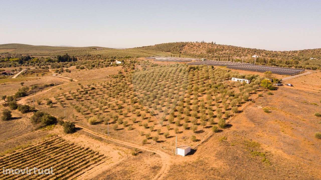 Terreno  para venda - Grande imagem: 3/14