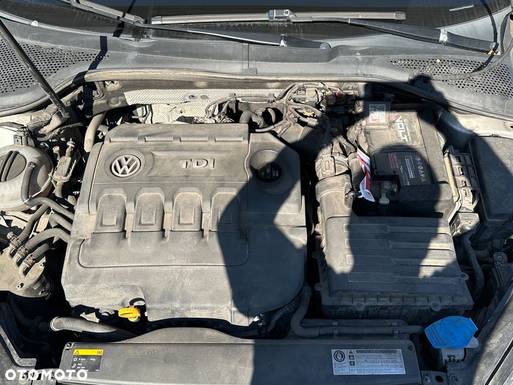 Volkswagen Golf - 19