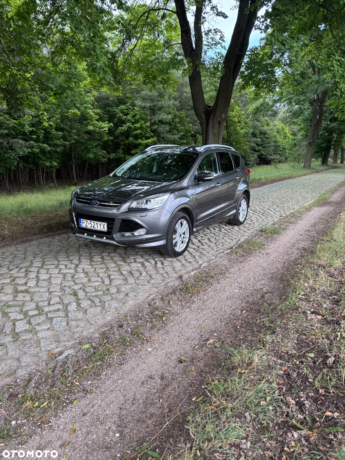 Ford Kuga 1.5 EcoBoost 4WD Titanium - 2