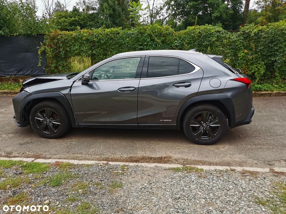 Lexus UX 250h - 6