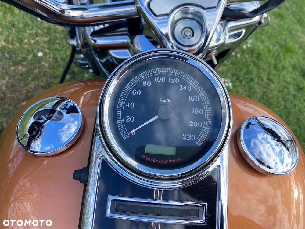 Harley-Davidson Inny - 12