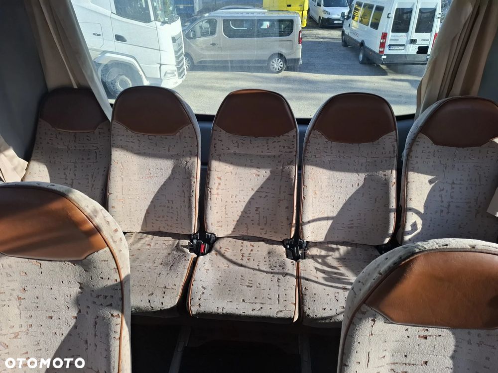 MAN LION'S COACH - 38