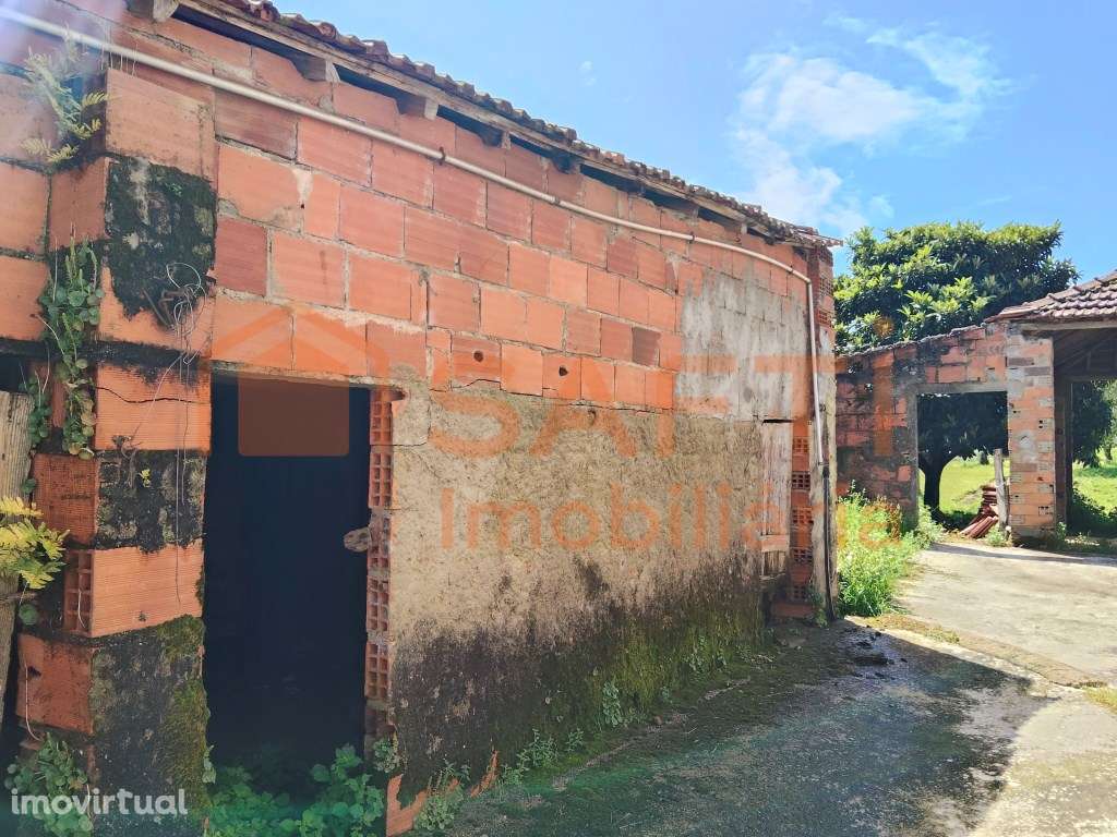 CASINHA DE CAMPO T4, COM ANEXOS, TERRENO DE CULTIVO E ALGUMAS OLIVE... - Grande imagem: 3/32