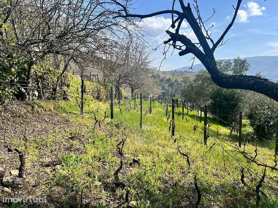 Terreno  para venda - Grande imagem: 2/9