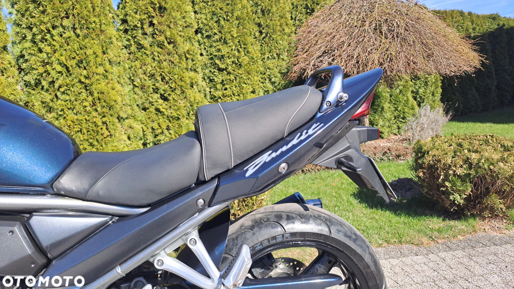 Suzuki Bandit - 30