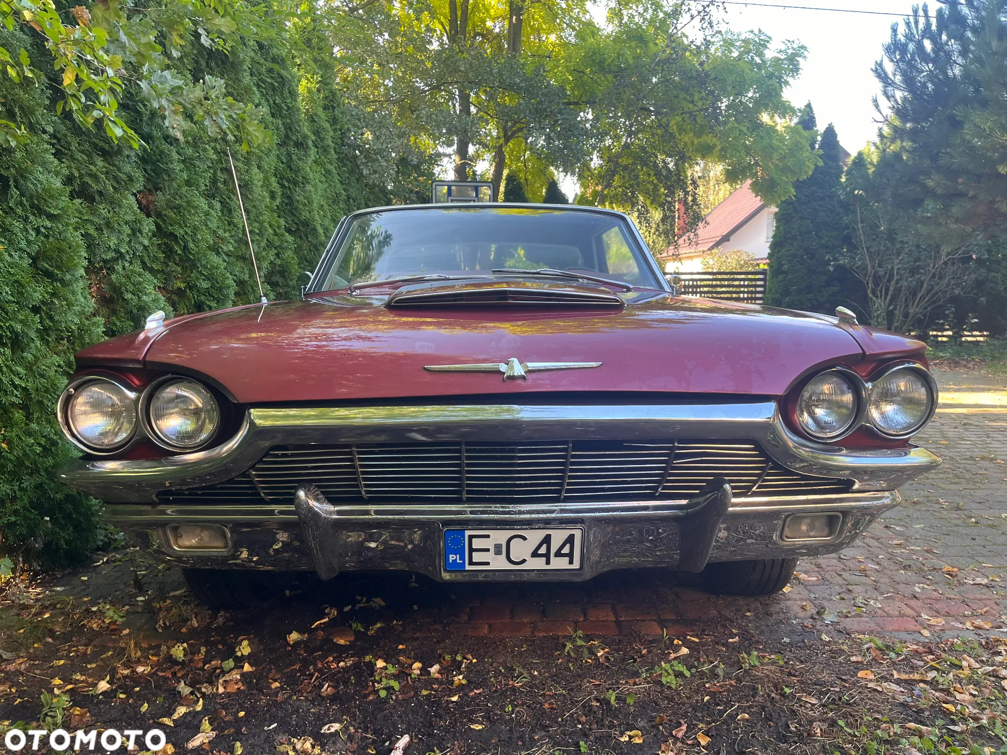 Ford Thunderbird - 16