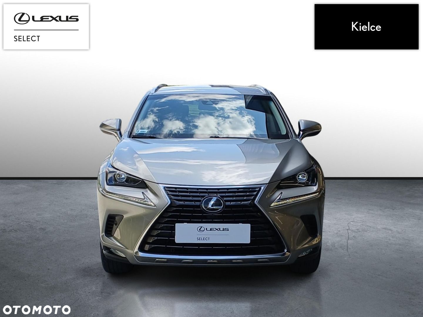 Lexus NX - 8