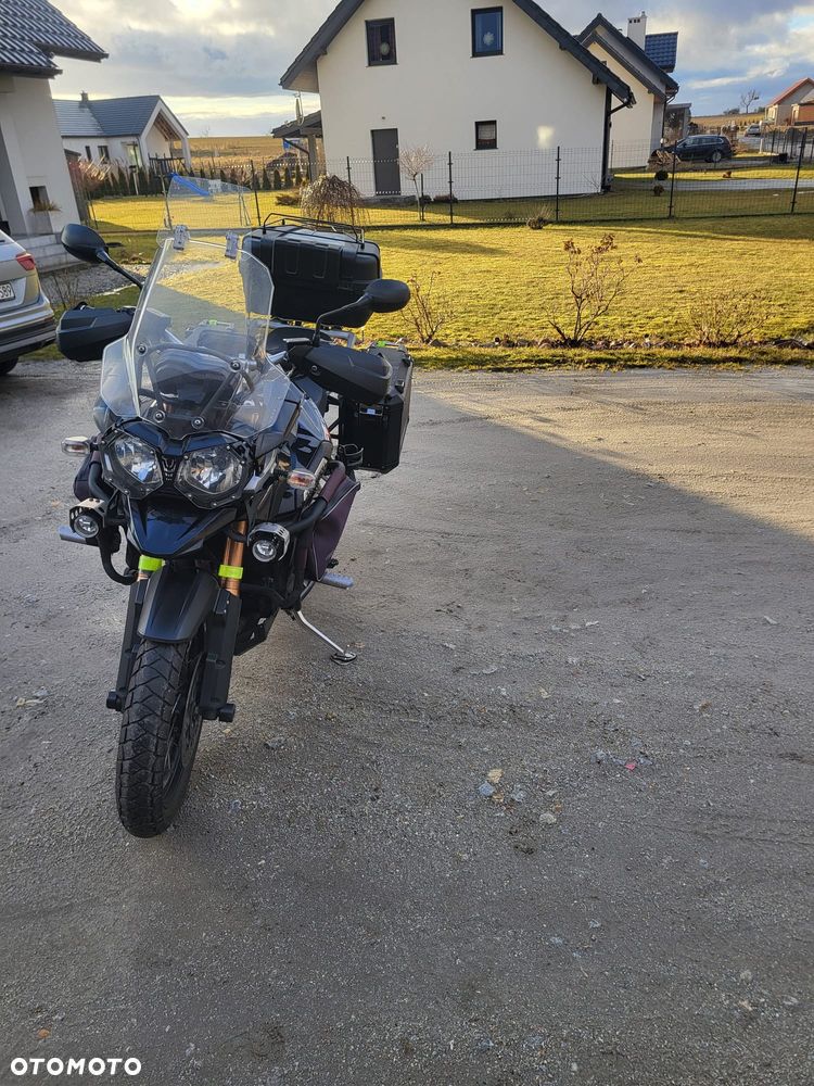 Triumph Tiger - 18
