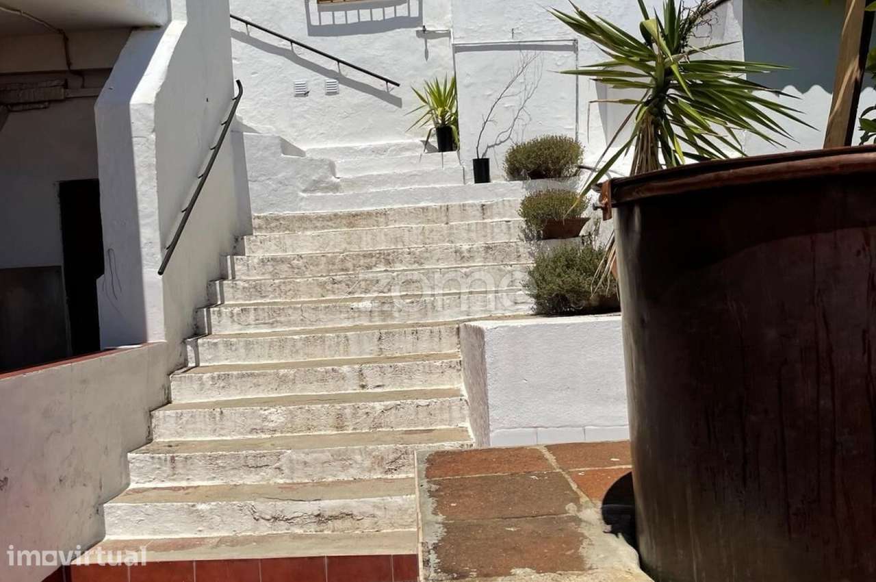Quinta do Museu Da Ameixa - Grande imagem: 4/11